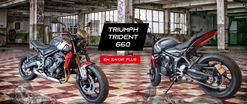 Triumph Trident 660 ACCESS DESIGN Nummernschildhalter Triumph Trident 660 ACCESS DESIGN Nummernschildhalter