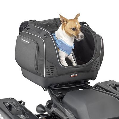 GIVI für Tiere
