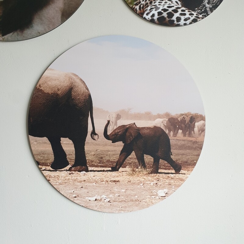 Muurcirkel Olifant 30cm Muurcirkel Olifant 30cm