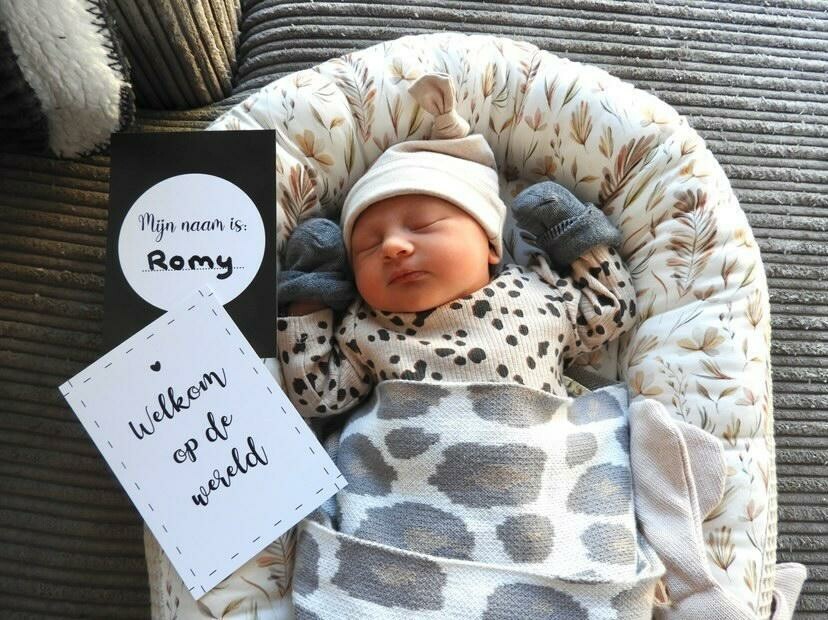 Mijlpaal kaarten Baby 25stks