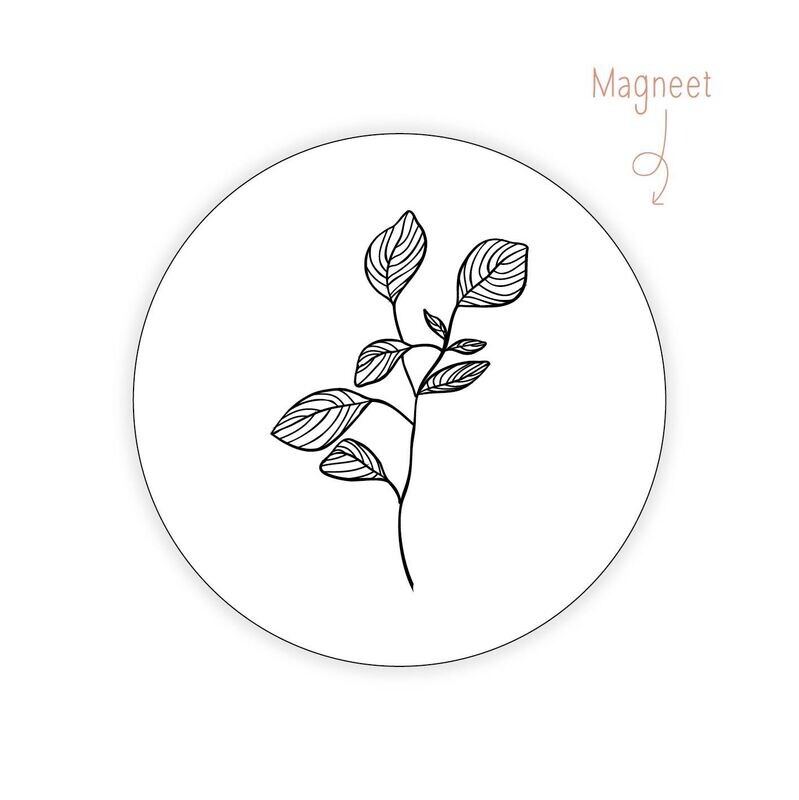 Magneet Eucalyptus 