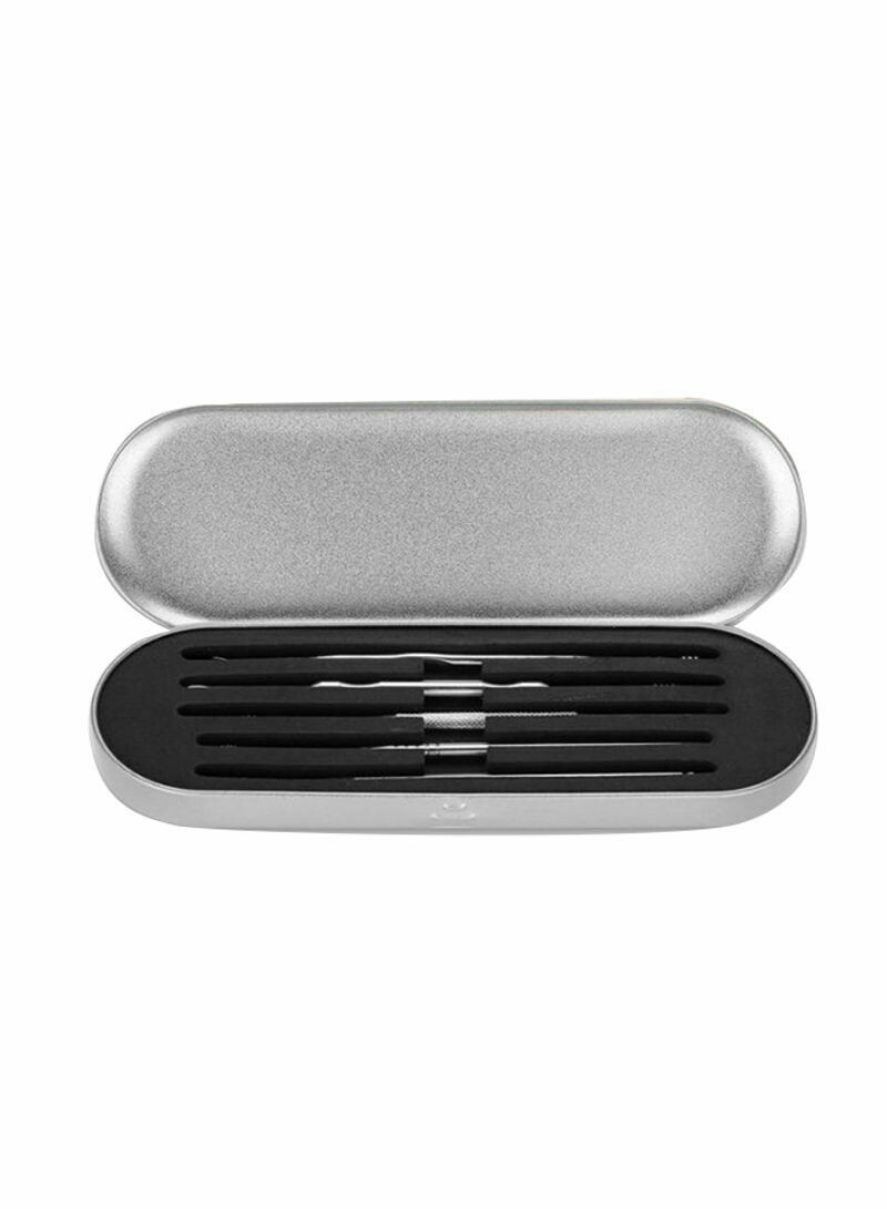 5-Piece Ear Pick Cleaning Tool Kit With Case Cover Silver