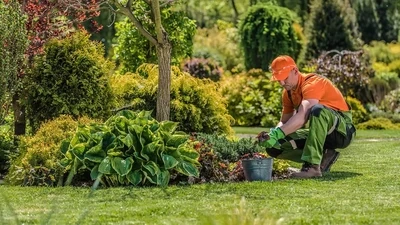 Gardeing Services
