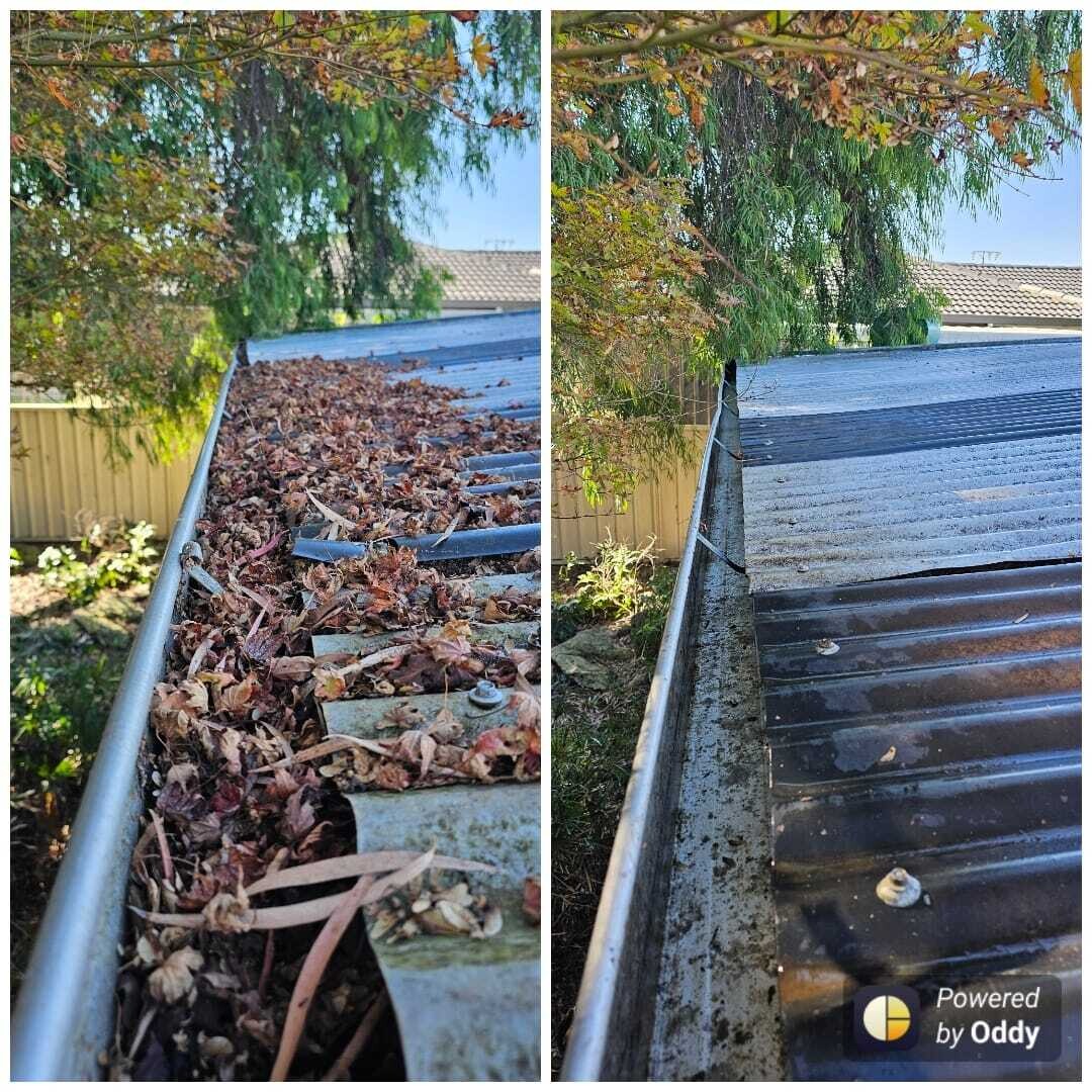 Residential Gutter Clean
