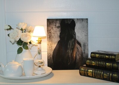 16" x 20" Wrapped Canvas Print of "Hank's Sun Mane"