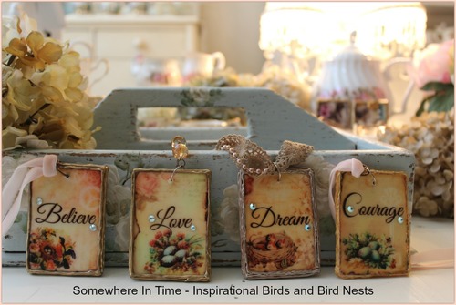Somewhere In Time - Inspirational Birds and Bird Nests