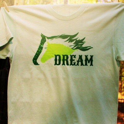 Dream Inspirational Tee Shirt