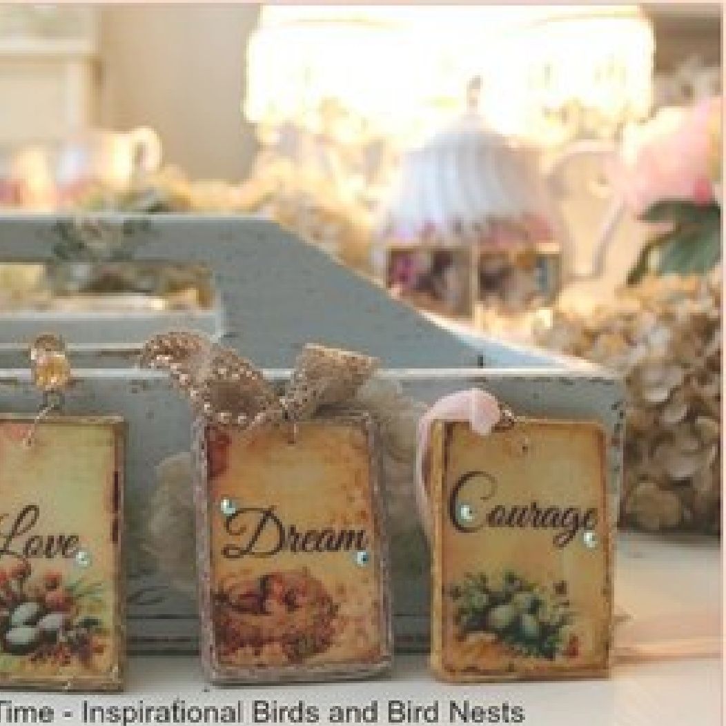 Somewhere In Time - Inspirational Birds and Bird Nests