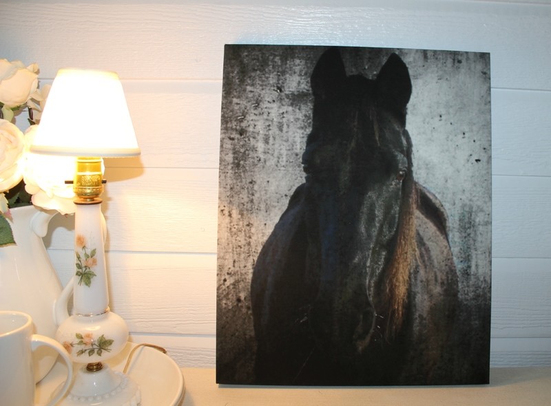 16" x 20" Wrapped Canvas Print of "Hank's Sun Mane"