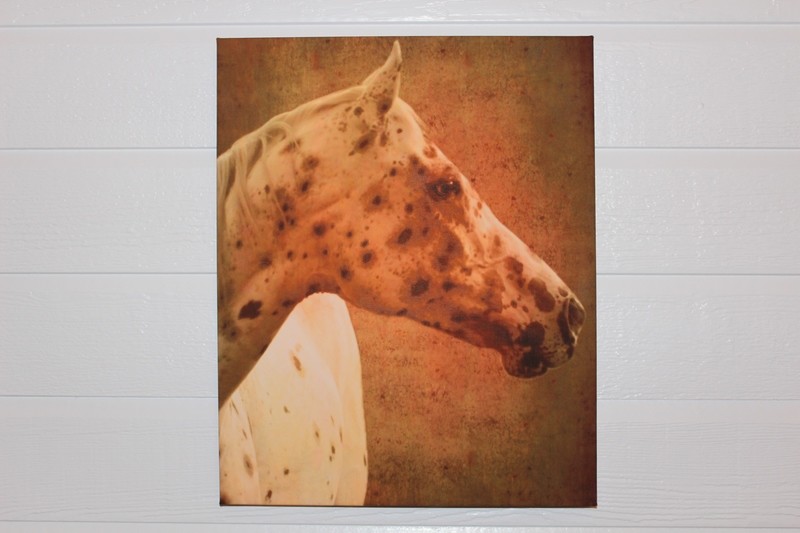 16" x 20" Wrapped Canvas Print of "Sharp Edge"