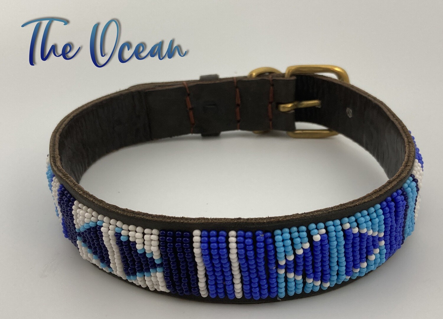 ocean dog collar
