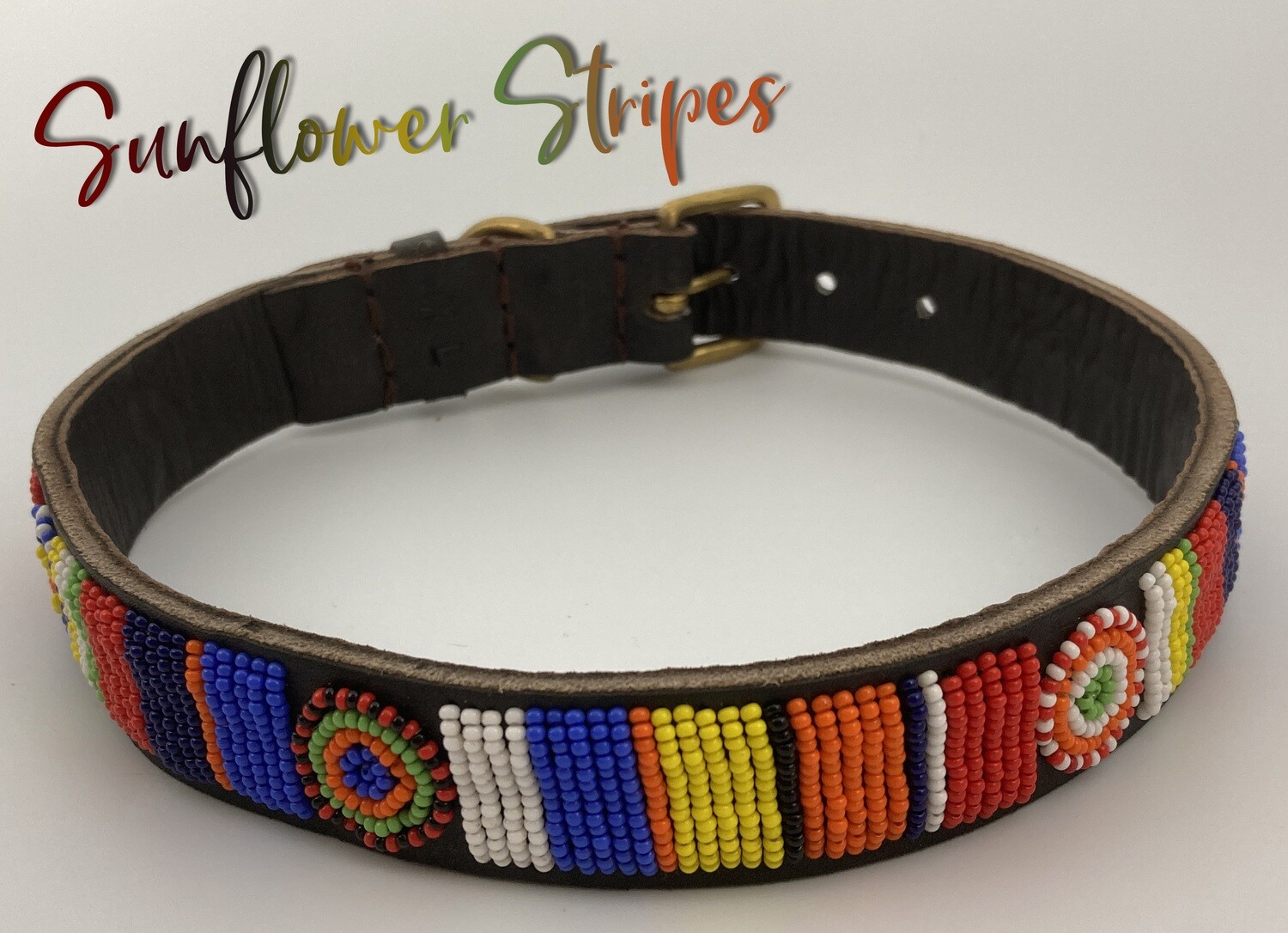 Furry beads dog collars Clearance