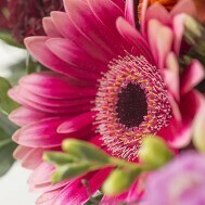 Journée de la Femme