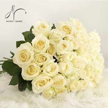 Grandes roses blanches