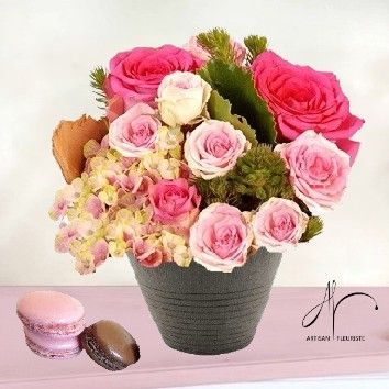 Sweet rose