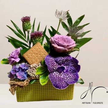 Violette