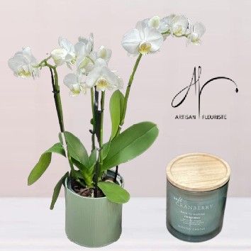 Orchidée et bougie
