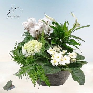 Jardin Zen