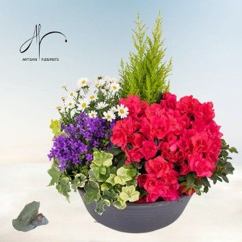 Précieux souvenir