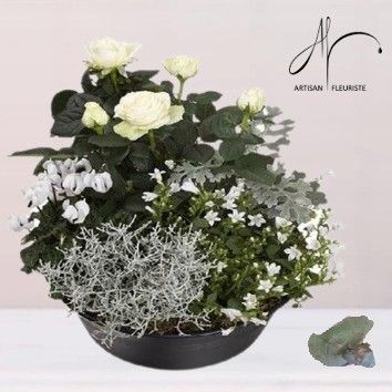 Jardin blanc