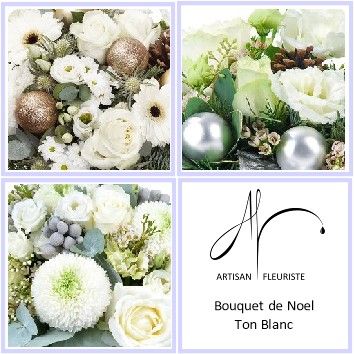 Surprise de Noël Blanc