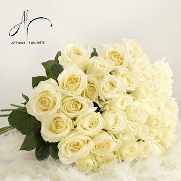 Grandes roses blanches