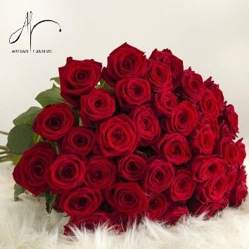 Grandes roses rouges