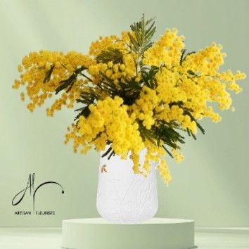 Mimosas