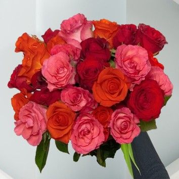 Roses d&#39;amour