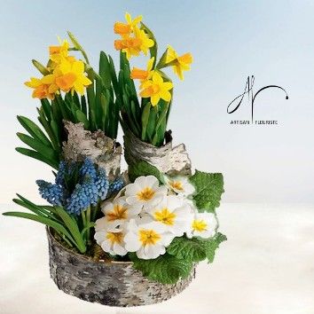 Joli printemps