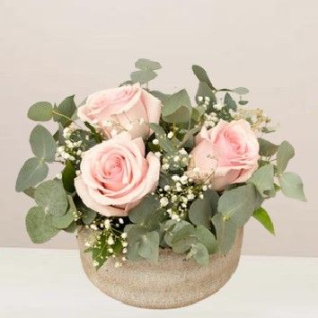 Velours de roses