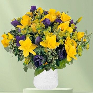 Narcisse