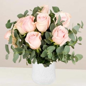Roses velours
