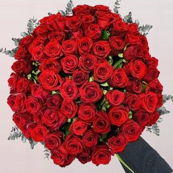 Roses rouges
