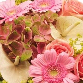 Fête des grands-mères🌸