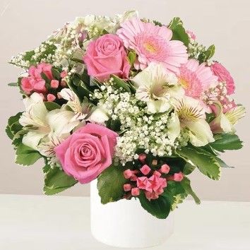 La vie en rose