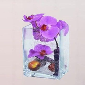 Ecrin de verre