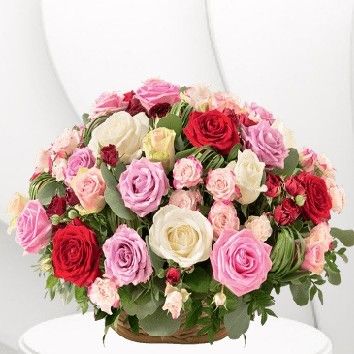 Rosae