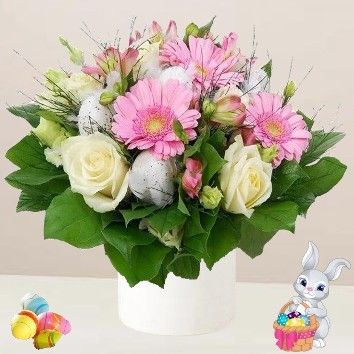 Douce Surprise