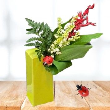 Coccinelle