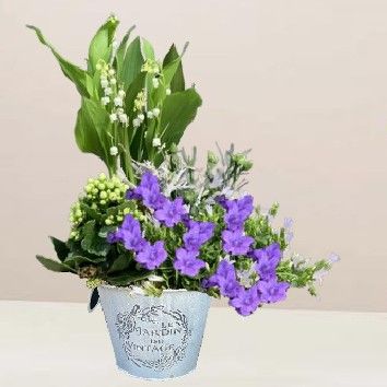 Jardin fleuri