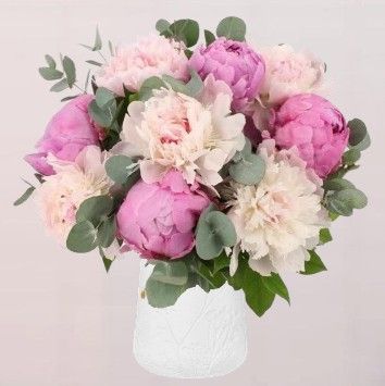 Pivoines variées