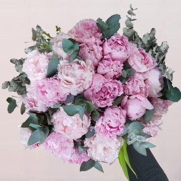 Pivoines d&#39;exception