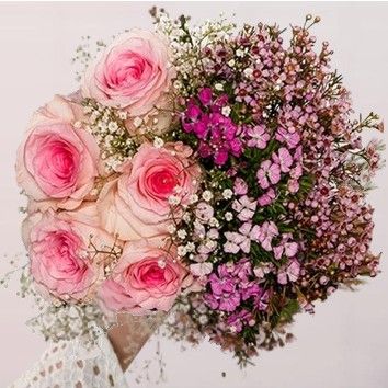 Rose tendresse