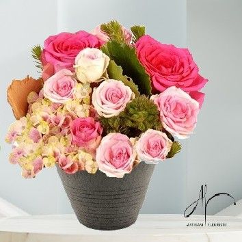 Sweet rose