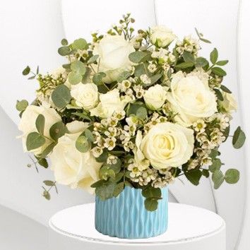 Blanc coton