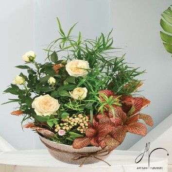 Coin de Paradis