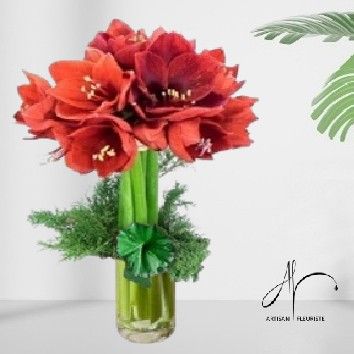 Bouquet botte d&#39;amaryllis