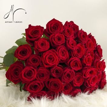 Grandes roses rouges