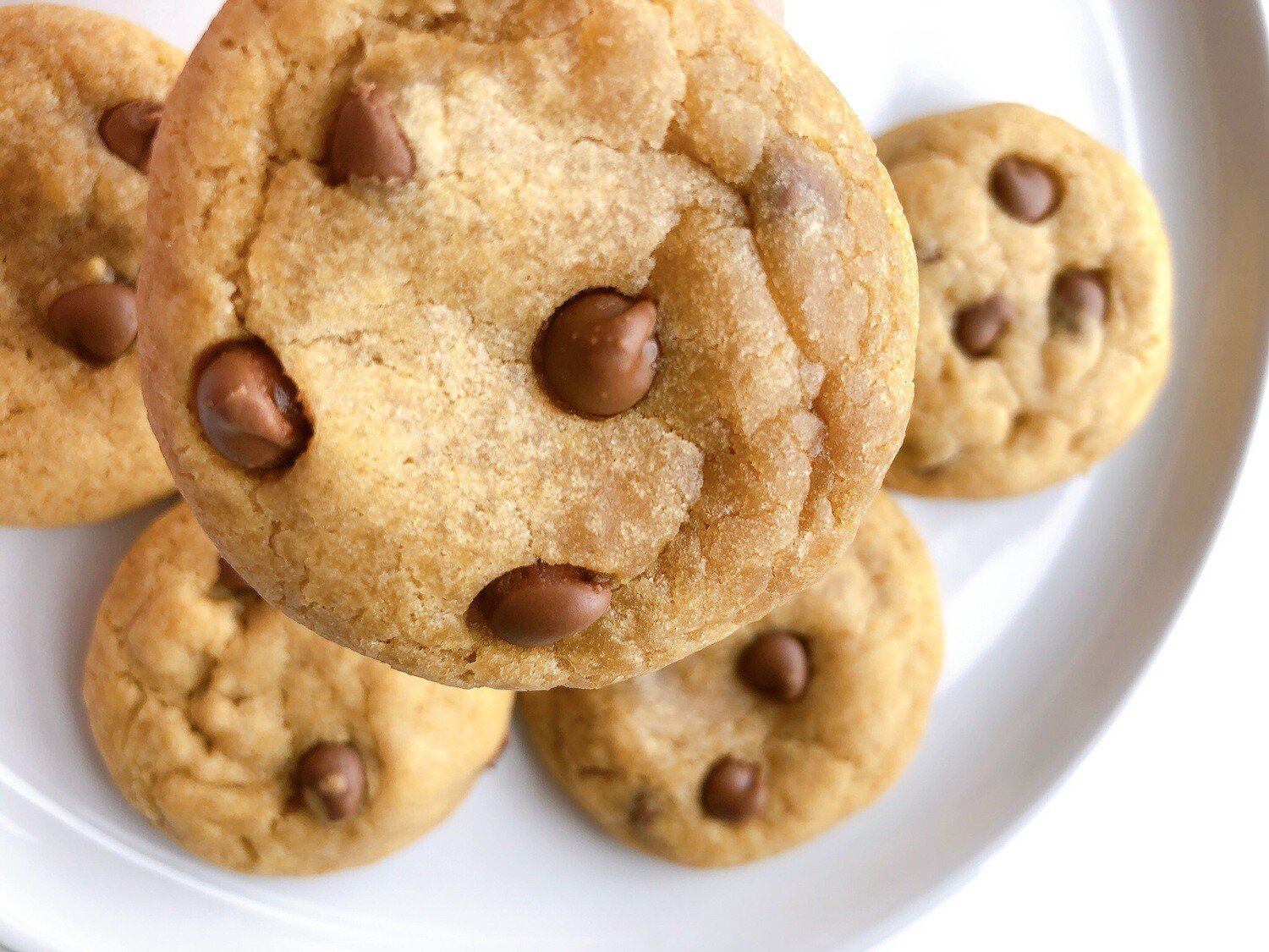 10 Chocolate Chip Cookies
